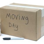 Moving With Your Cats and Dogs