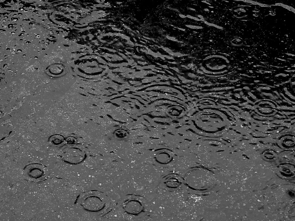 Tips for Moving in the Rain