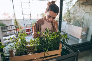How to Move House With Your Plants (Without Killing Them)?
