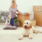 Moving with Kids and Pets: 4 Tips for a Smooth Transition