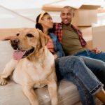 A Guide to Ensuring a Smooth Transition When Moving with Pets